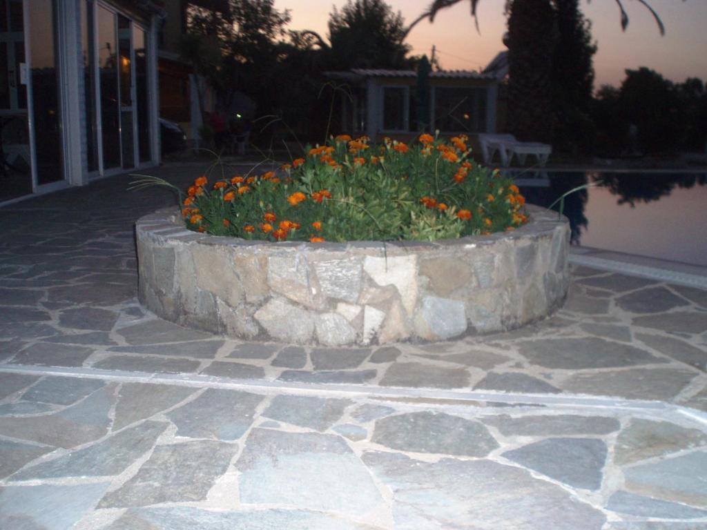 Loula Apartments Sidari  Exterior photo